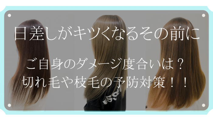 日差しがキツくなる前に自分の髪のダメージ度合いは 枝毛 切れ毛の予防と対策 コラム 美容室 Nyny Co なんばパークス店 増田 忠司 ヘアサロン 美容院 ニューヨークニューヨーク 日差しがキツくなる前に自分の髪のダメージ度合いは 枝毛 切れ毛の予防と対策 コラム 美容室 Nyny Co なんばパークス店 増田 忠司 ヘアサロン 美容院 ニューヨークニューヨーク