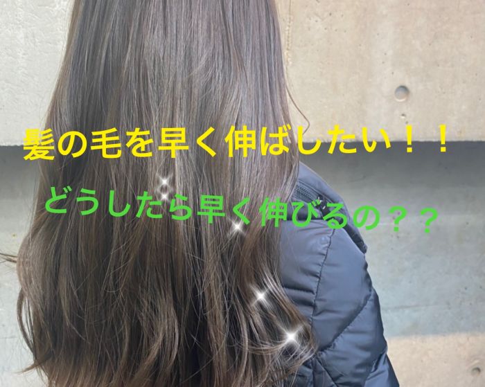 髪の毛を早く伸ばしたい そんな時にはこれ コラム 美容室 Nyny 垂水店 上村 恵弥 ヘアサロン 美容院 ニューヨークニューヨーク 髪の毛を早く伸ばしたい そんな時にはこれ コラム 美容室 Nyny 垂水店 上村 恵弥 ヘアサロン 美容院 ニューヨークニューヨーク
