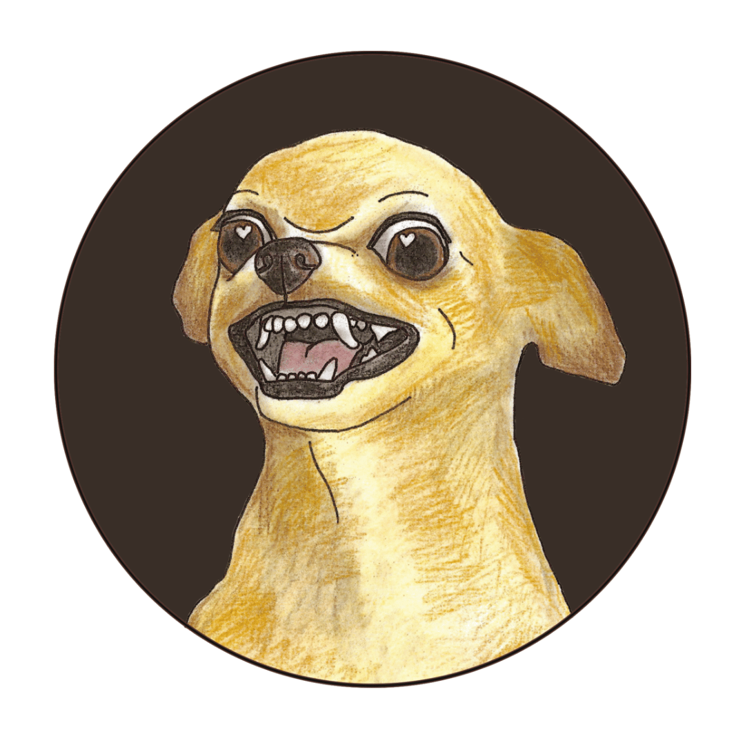 user's profile