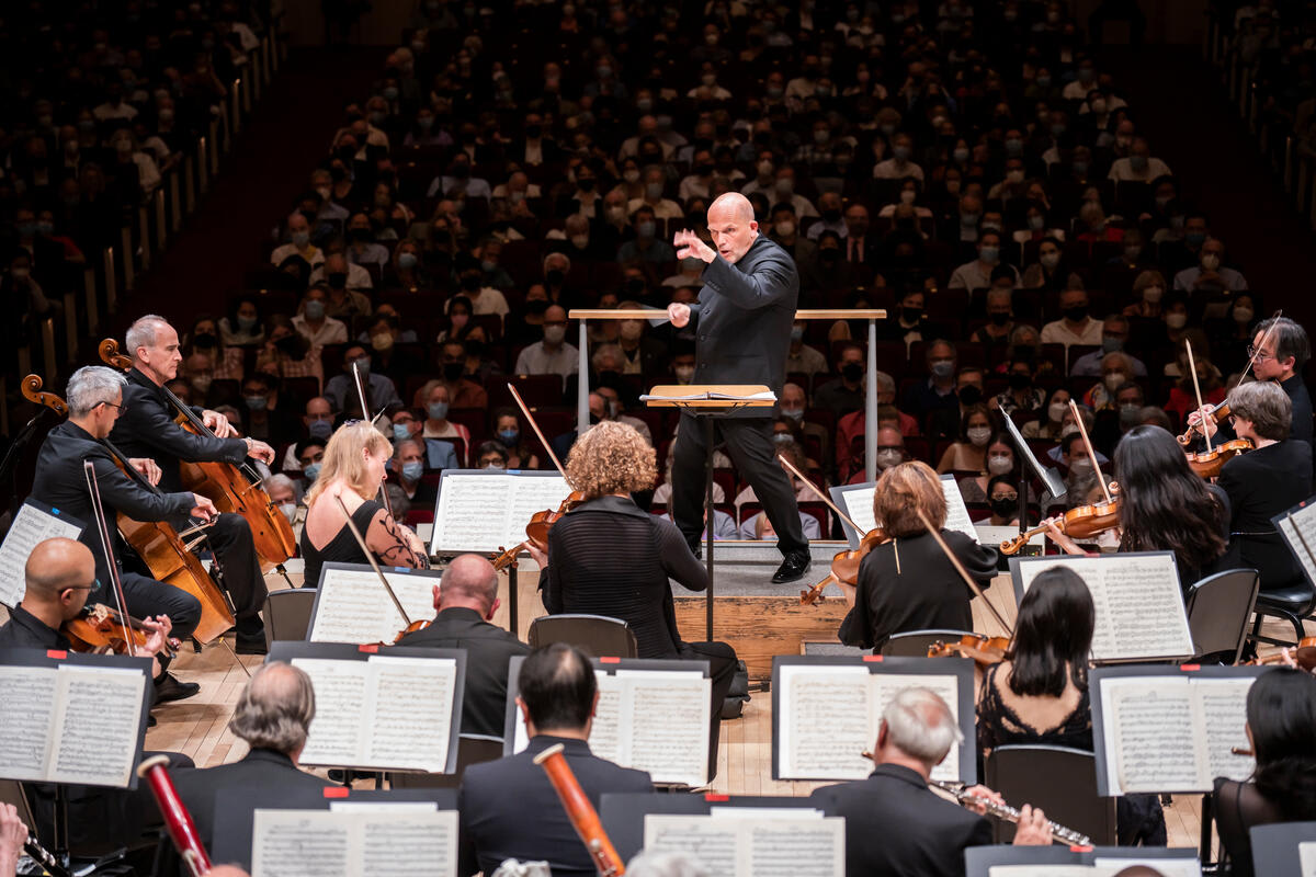 【廃盤】NewYork Philharmonic 65枚組 ニューヨーク・フィル 廃盤】NewYork Philharmonic 65枚組 ニューヨーク・フィル