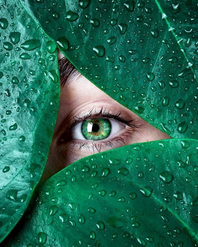 طفلة من غيم الياسمين