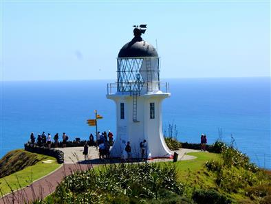 Sand Safaris Cape Reinga 90 Mile Beach Tours