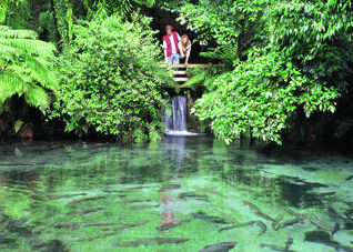 Paradise Valley Springs