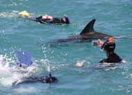 Encounter Kaikoura