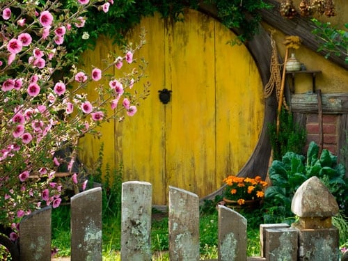 Hobbiton Movie Set Tours