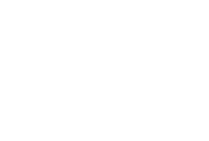 Principal Partner: Adidas