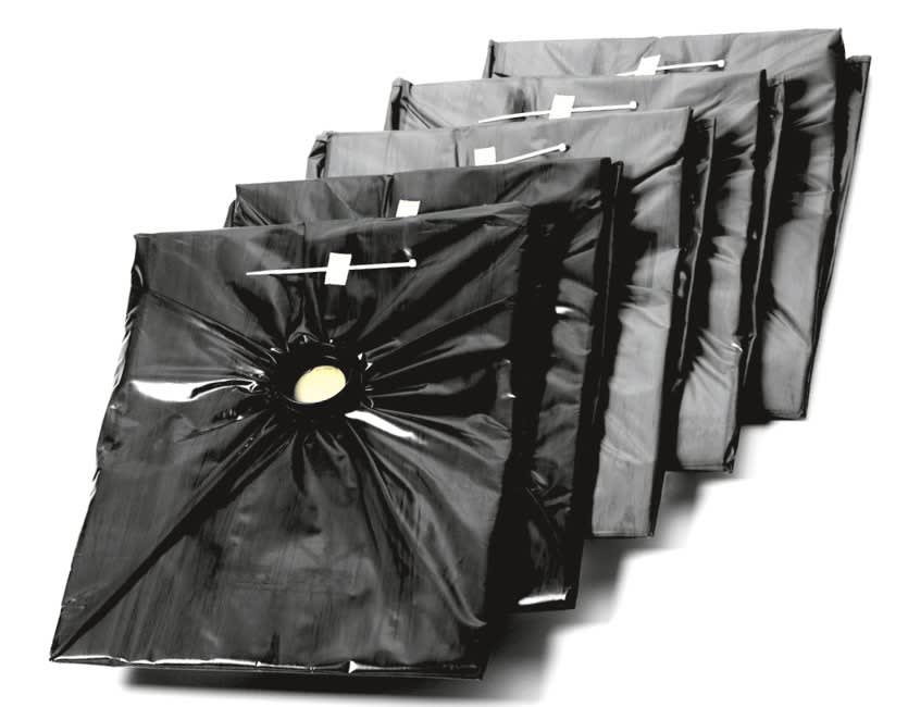 Nilfisk 107413549 Safety Filter Bags Pack of 5