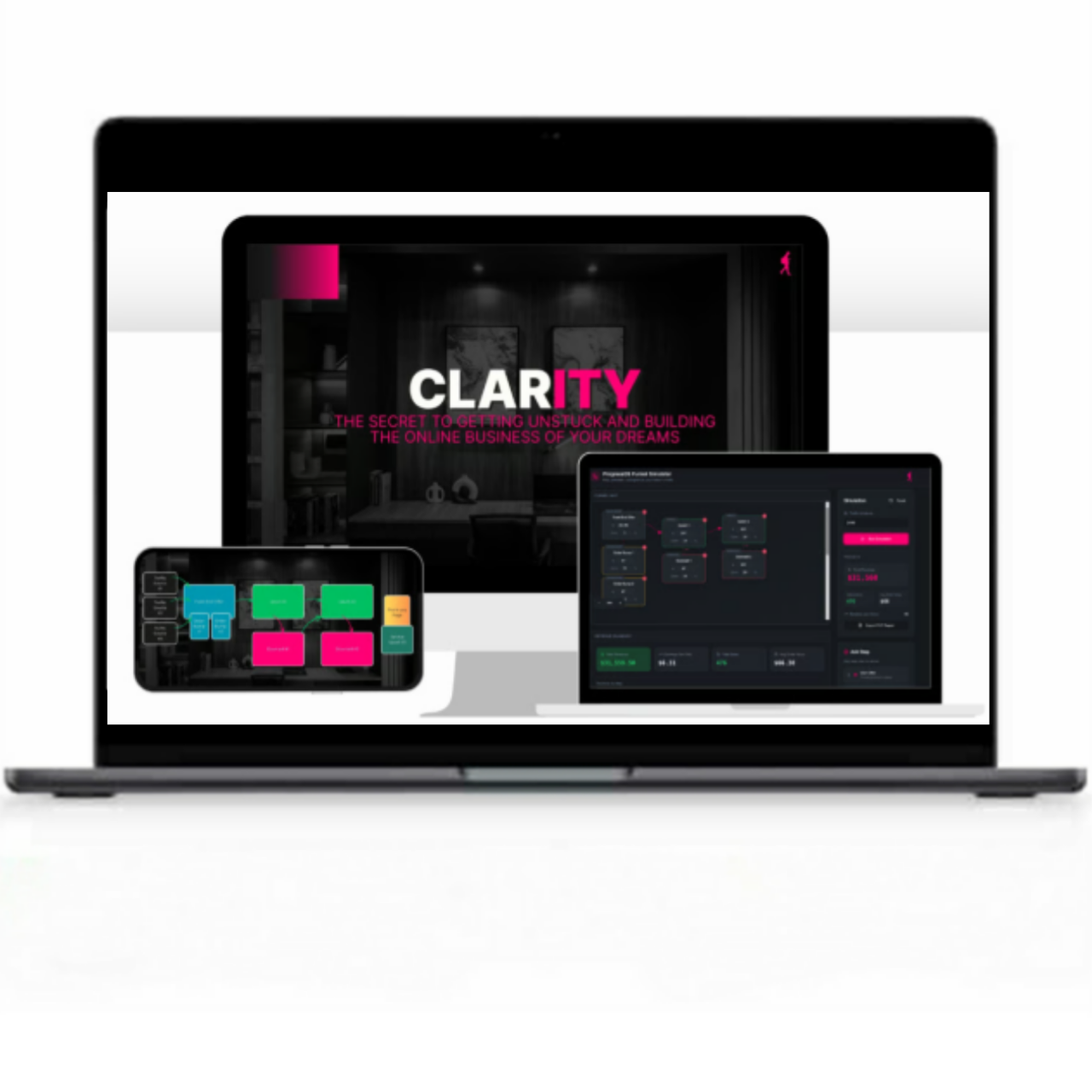 The Clarity Program: Practical Guide & Core Concepts