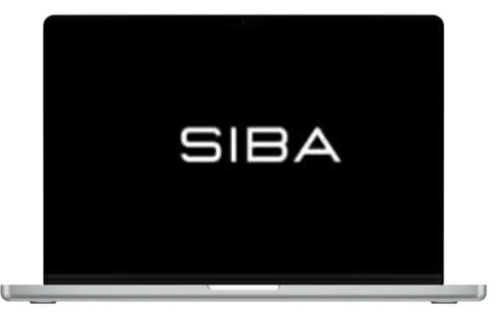 Siba Ecom Mastermind by Salif Sibane