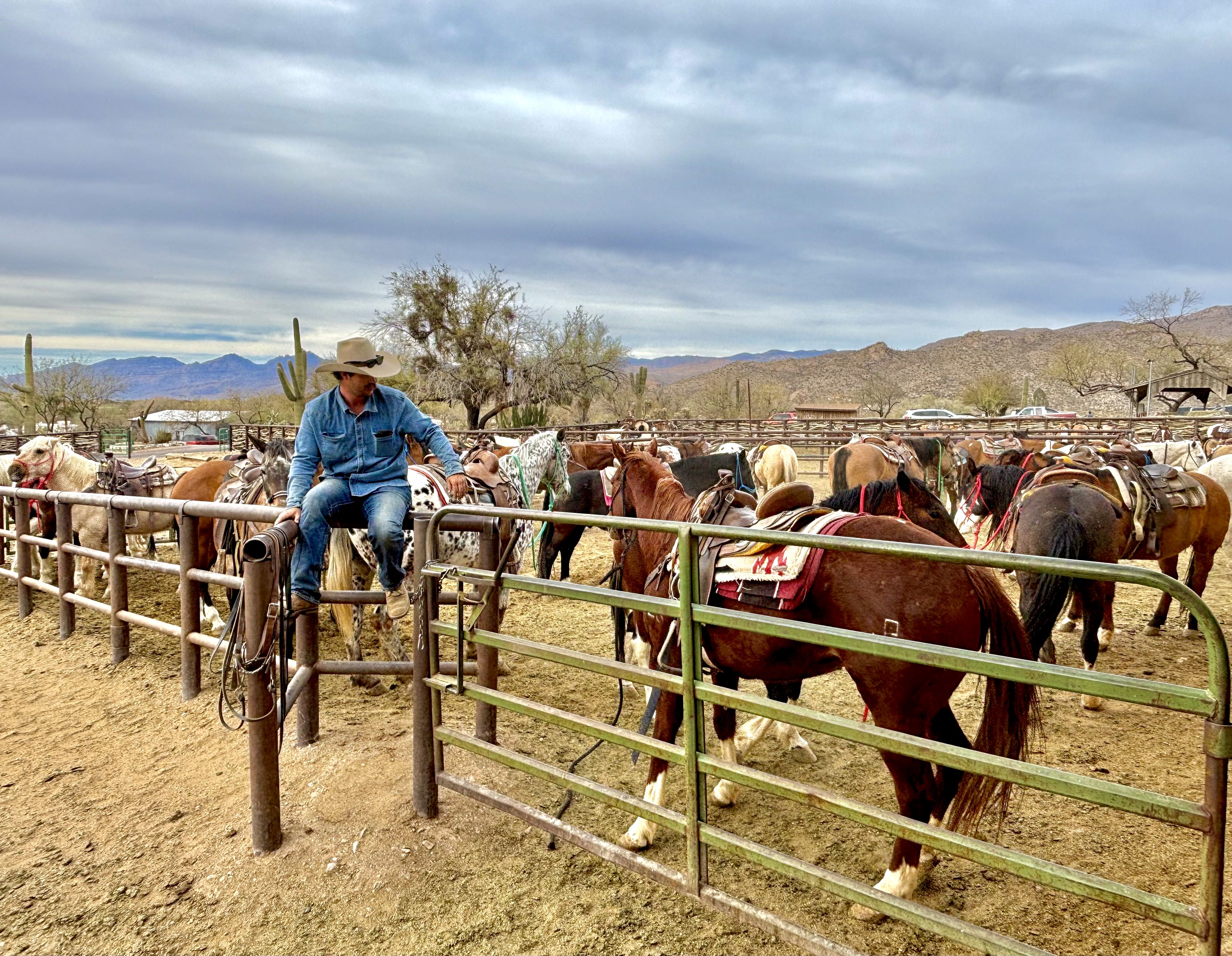 USA Dude Ranch thumbnail