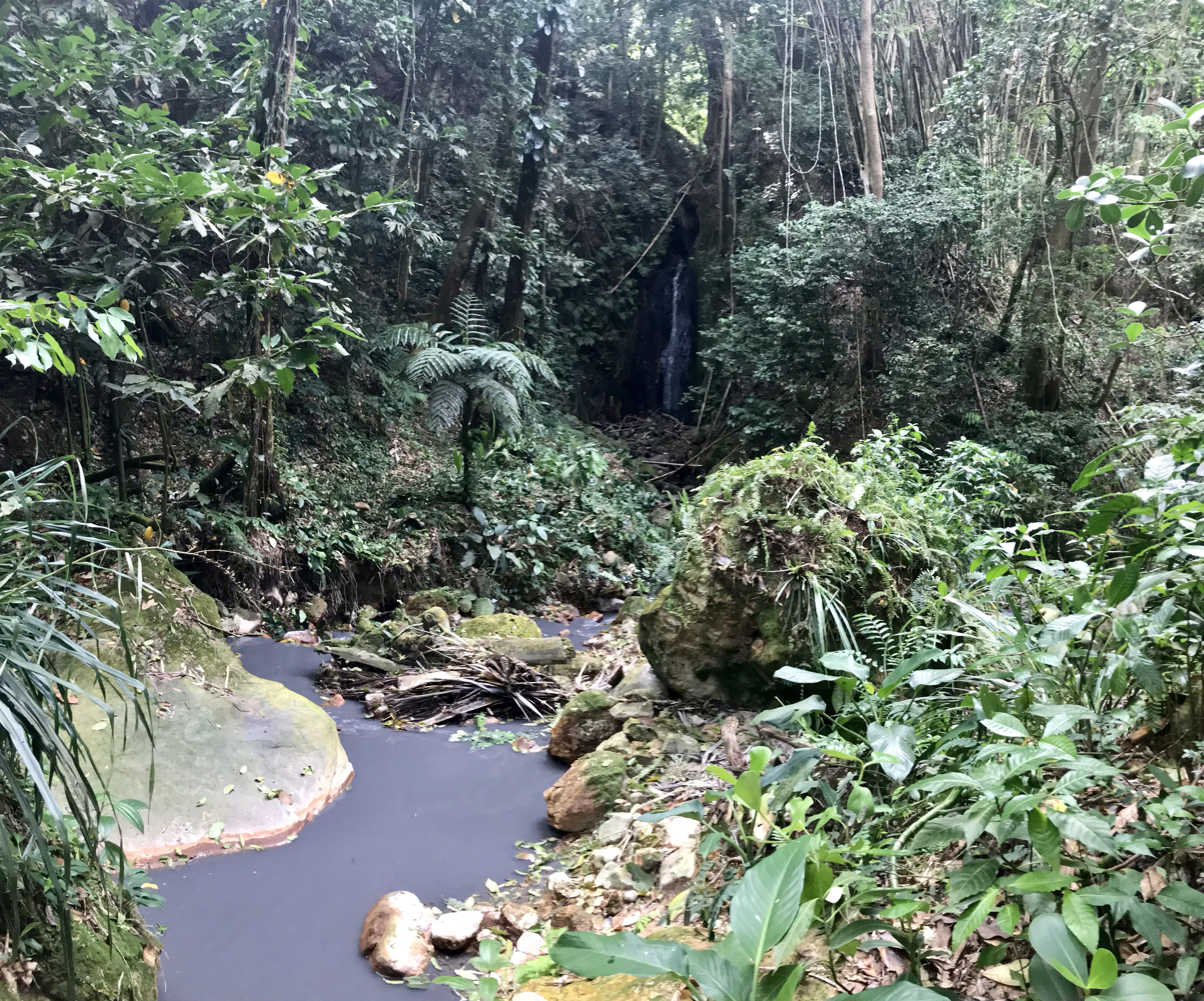 High-speed zipline adventure