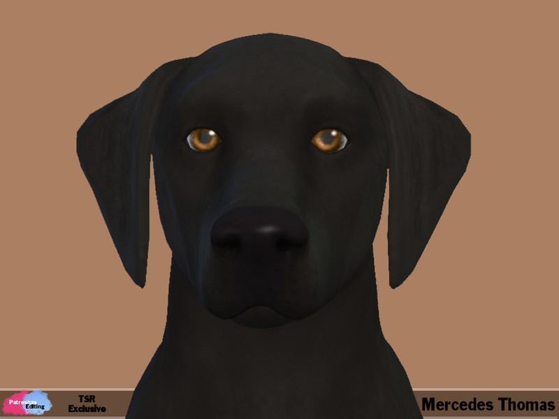 Sims 4 Mercedes Thomas by patreshasediting