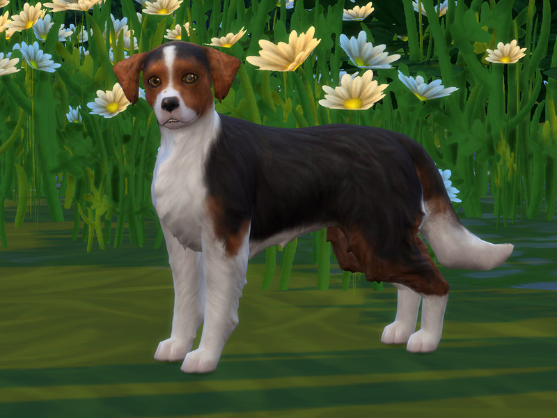 Sims 4 Sarah by Darcy18