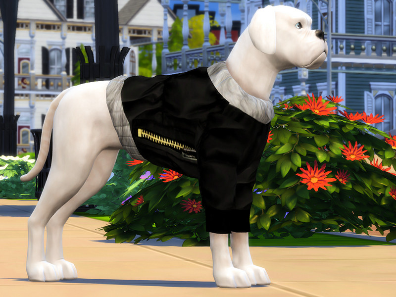 Sims 4 Large Dog Parka Coats by simmerkate