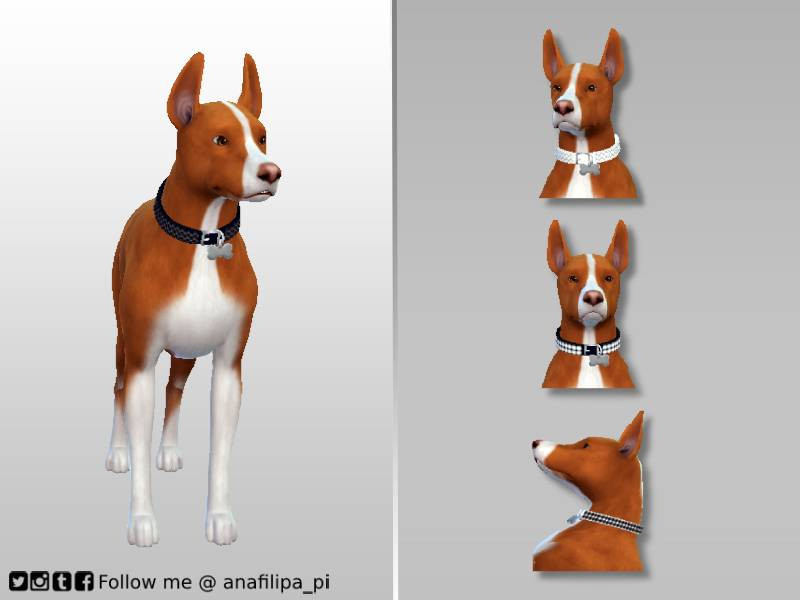 Sims 4 Sophisticated Diamond collars - COLOR - BDog by AnaFilipa_pi
