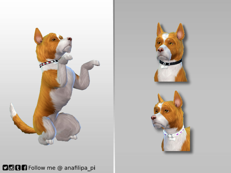 Sims 4 Sophisticated Diamond collars - COLOR - SDog by AnaFilipa_pi