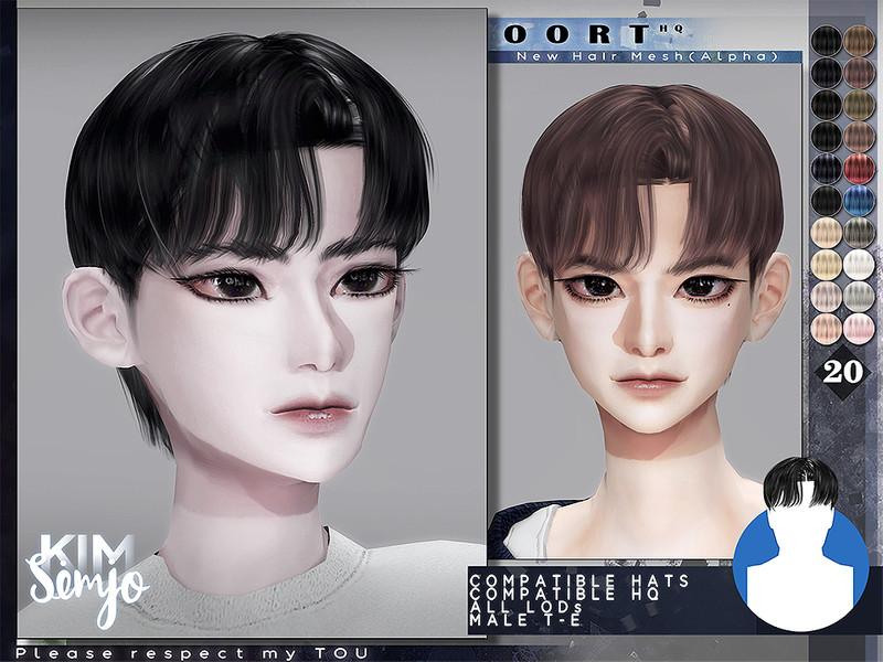Sims 4 TS4 Male Hairstyle_Oort by KIMSimjo
