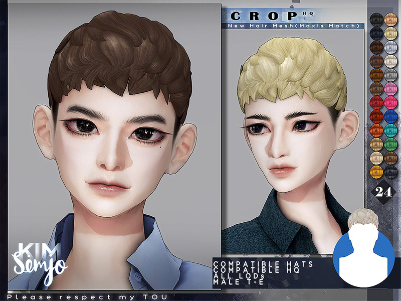 Sims 4 TS4 Male Hairstyle_Crop(Maxis Match) by KIMSimjo