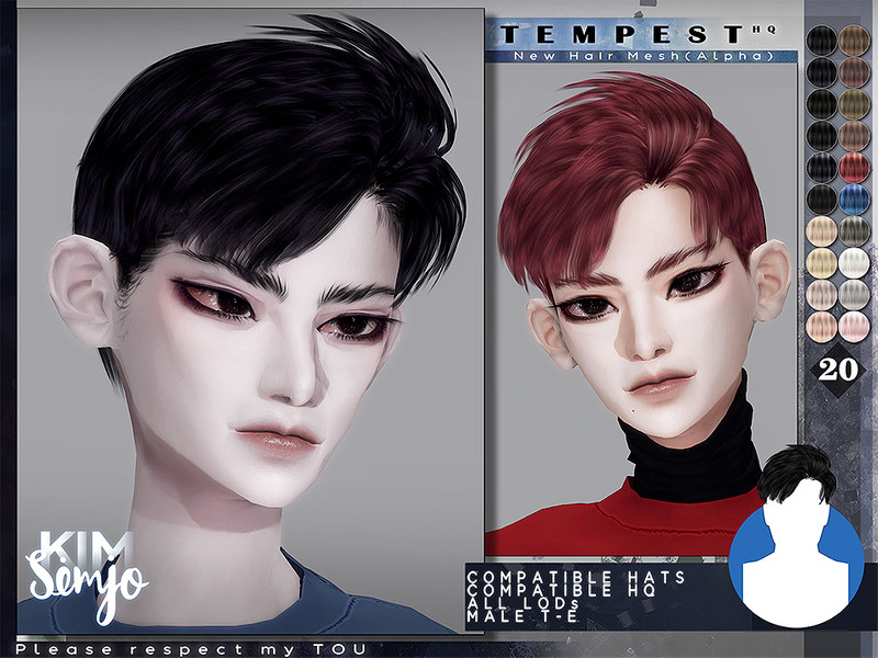 Sims 4 TS4 Male Hairstyle_Tempest by KIMSimjo