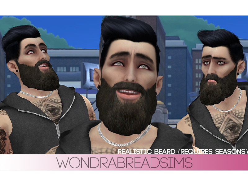 Sims 4 Sage Beard (Requires Seasons) by jubilicious