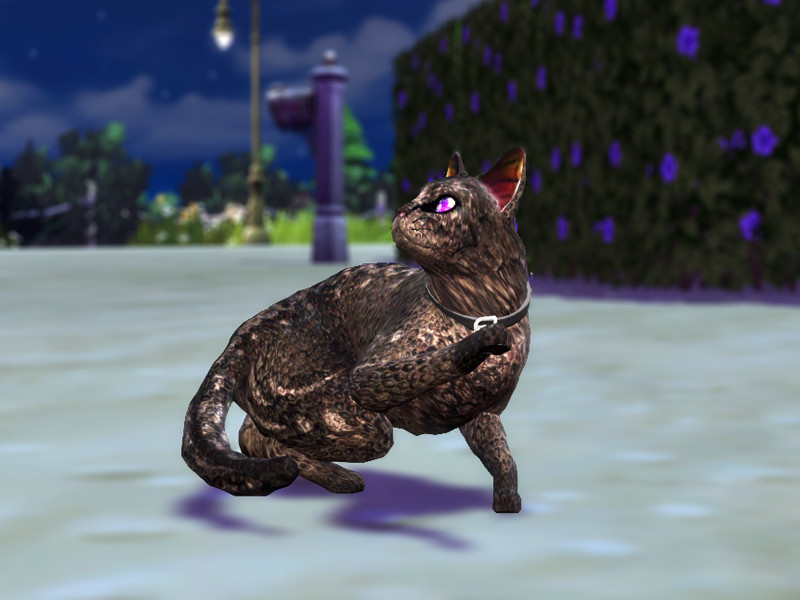 Sims 4 Dragon Cat Costume (No Wings) by MeowyMeows