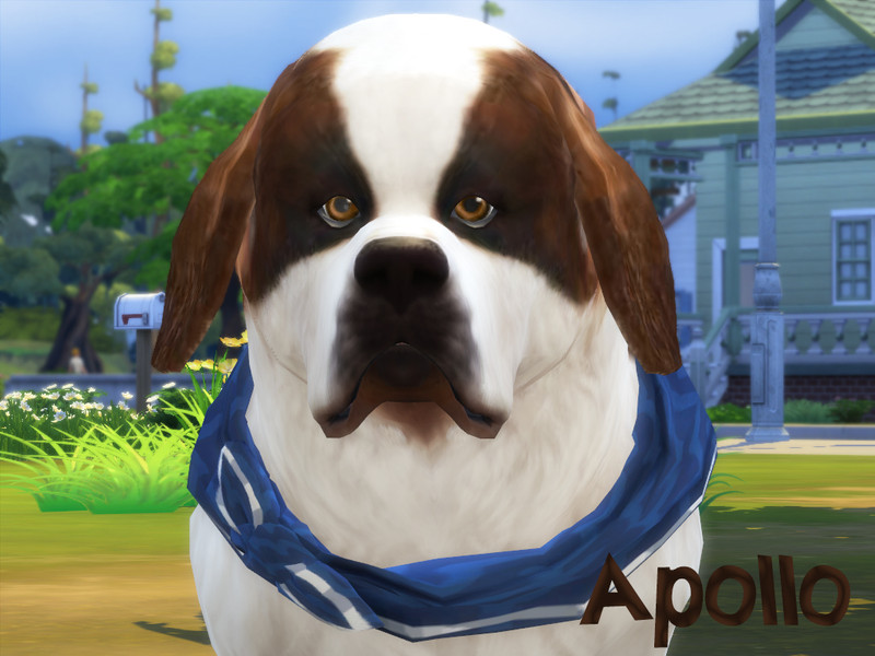 Sims 4 Apollo by animal_sim