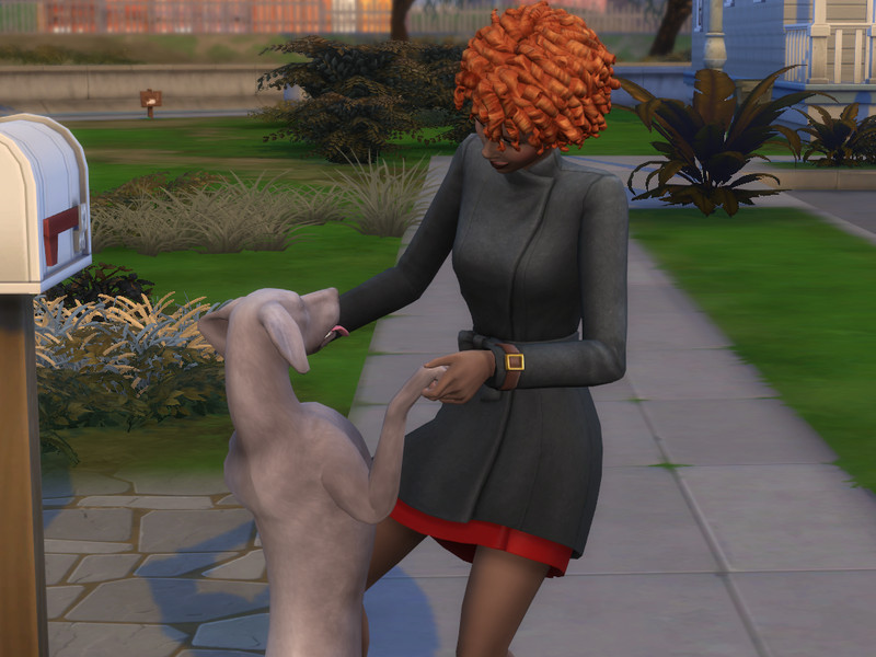 Sims 4 Pet Immortality Trait by CrucibleGaming