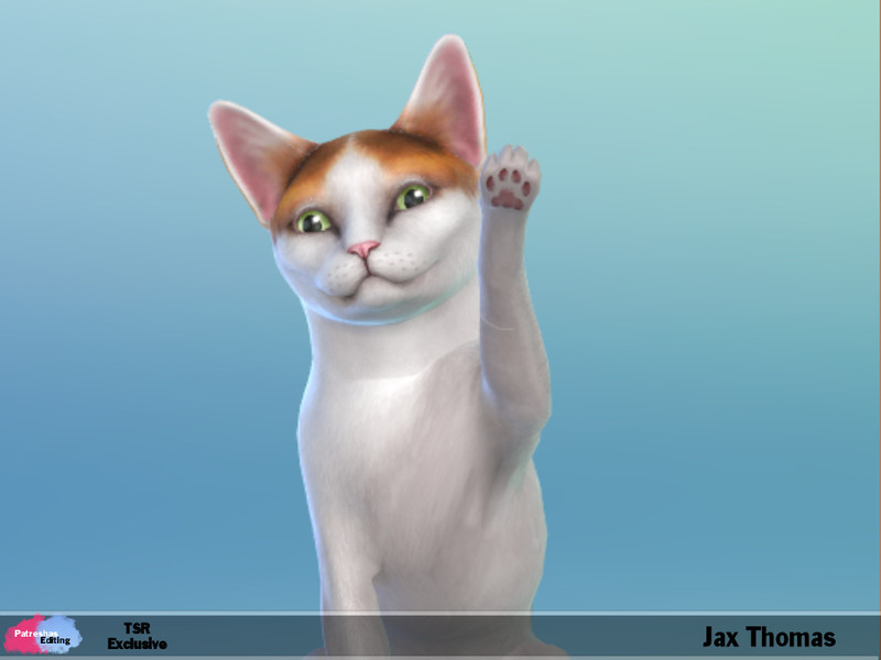 Sims 4 Jax Thomas by patreshasediting