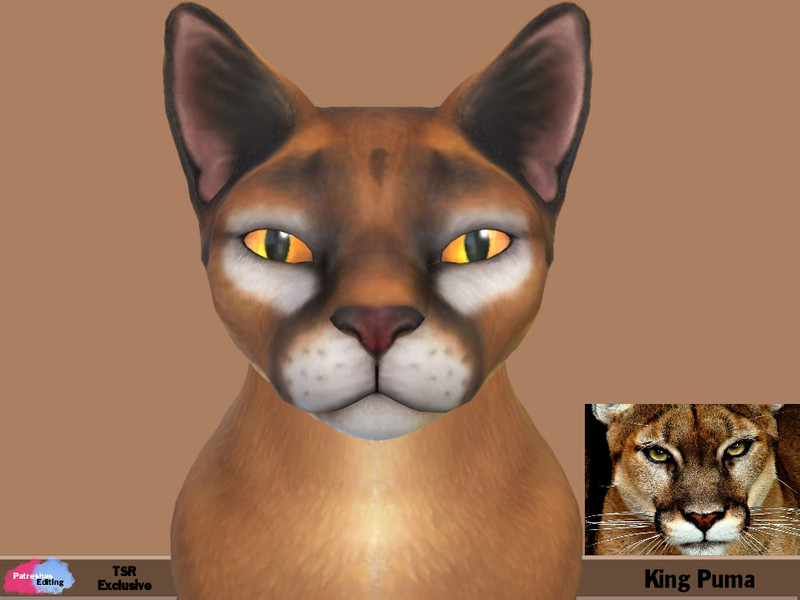 Sims 4 King Puma by patreshasediting