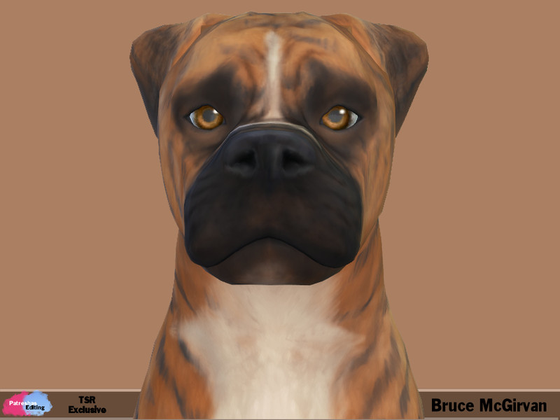 Sims 4 Bruce McGirvan by patreshasediting
