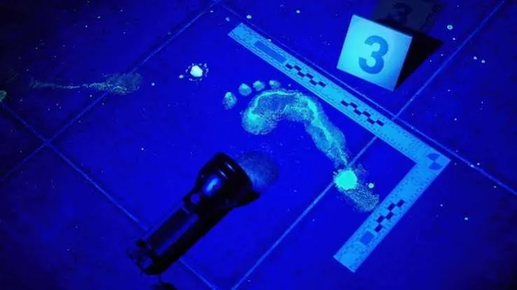 Luminol Là Gì? Ứng Dụng Của Chất Luminol Trong Giám Định Pháp Y
