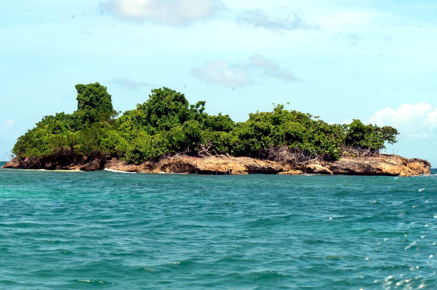 Playa Rincón Tour from Punta Cana – Samaná Beaches & Cayo Levantado