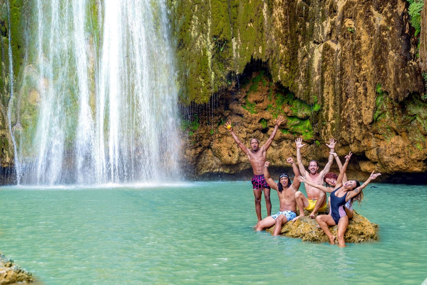 Whale Watching + El Limón Waterfall – Samaná Day Trip from Punta Cana