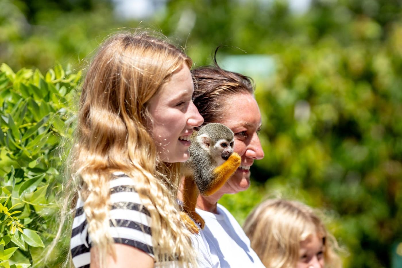 Buggy + Monkey Land Punta Cana – Jungle Buggies & Squirrel Monkeys