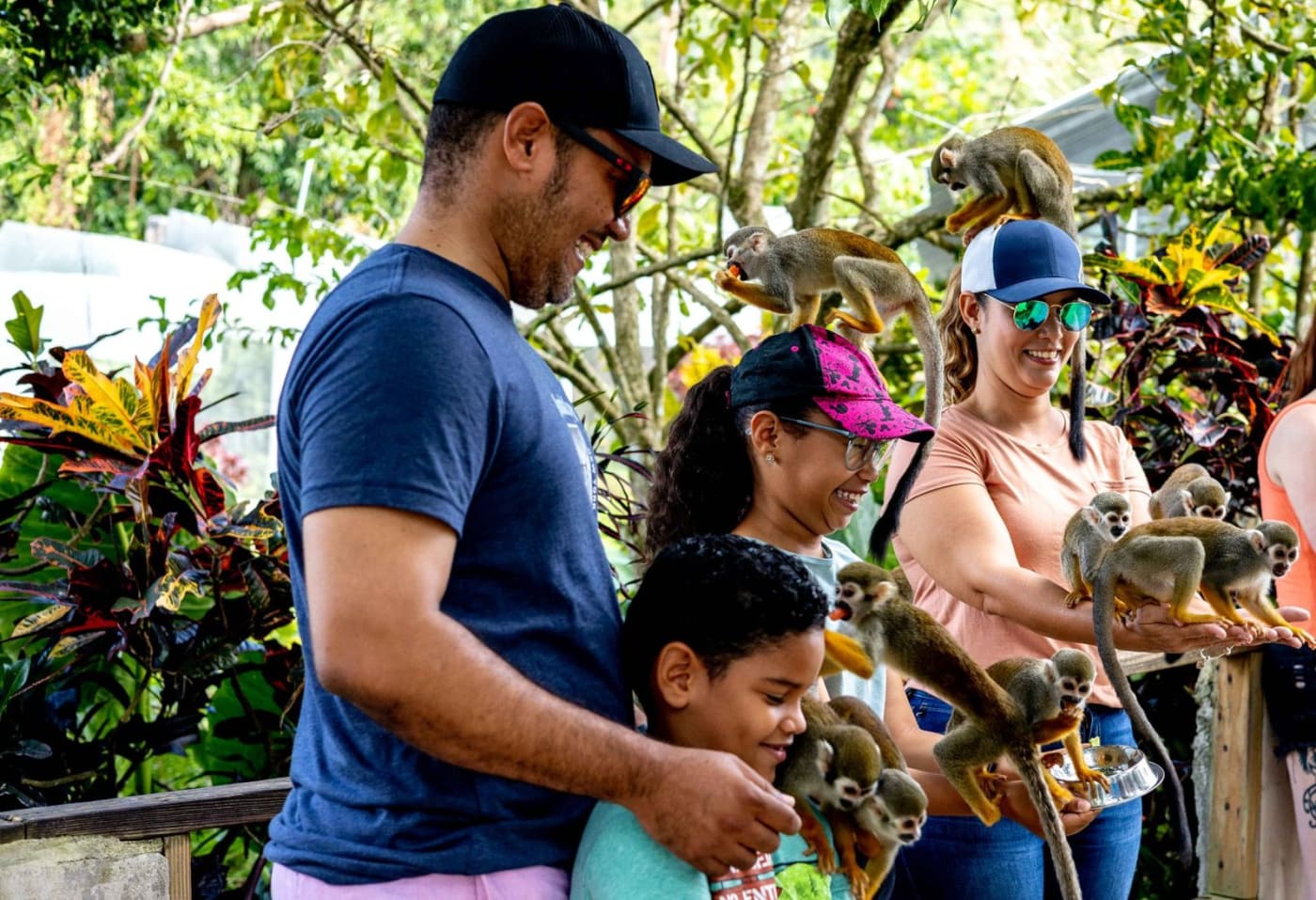 Monkey Land Punta Cana – Squirrel Monkeys Tour