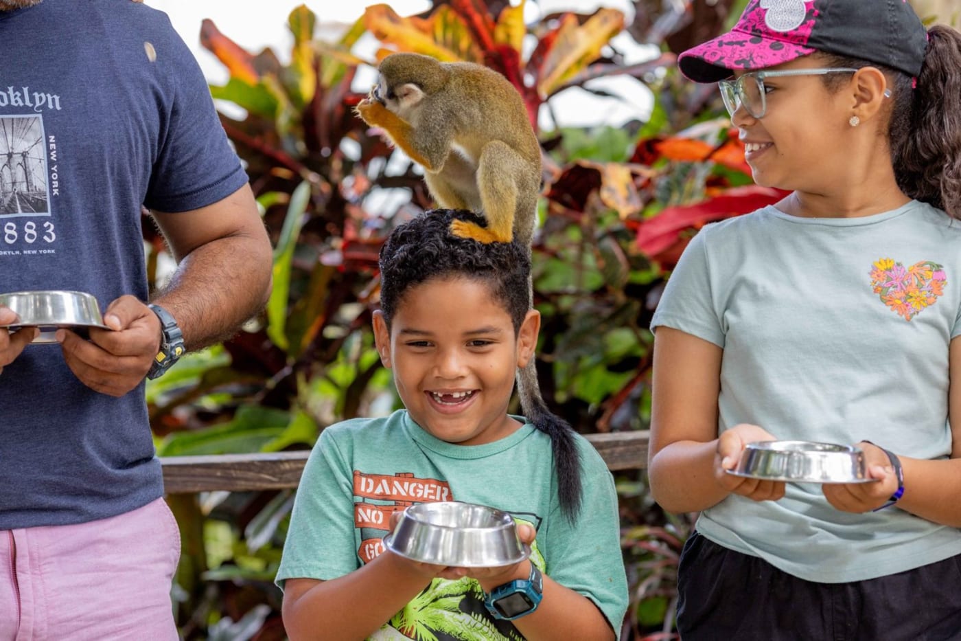 Monkey Land Punta Cana – Squirrel Monkeys Tour