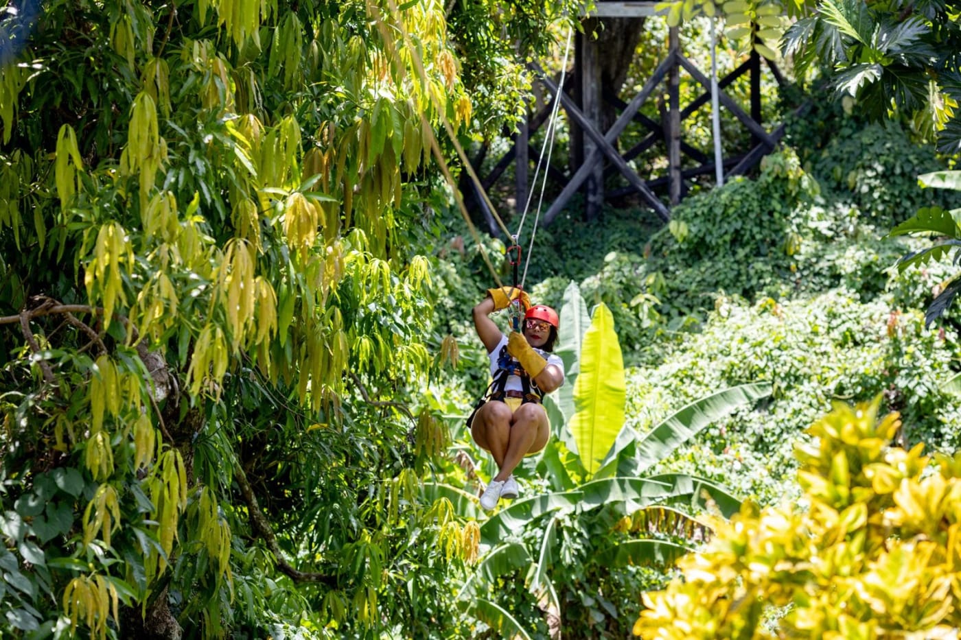 Guide checking a harness before the first zipline