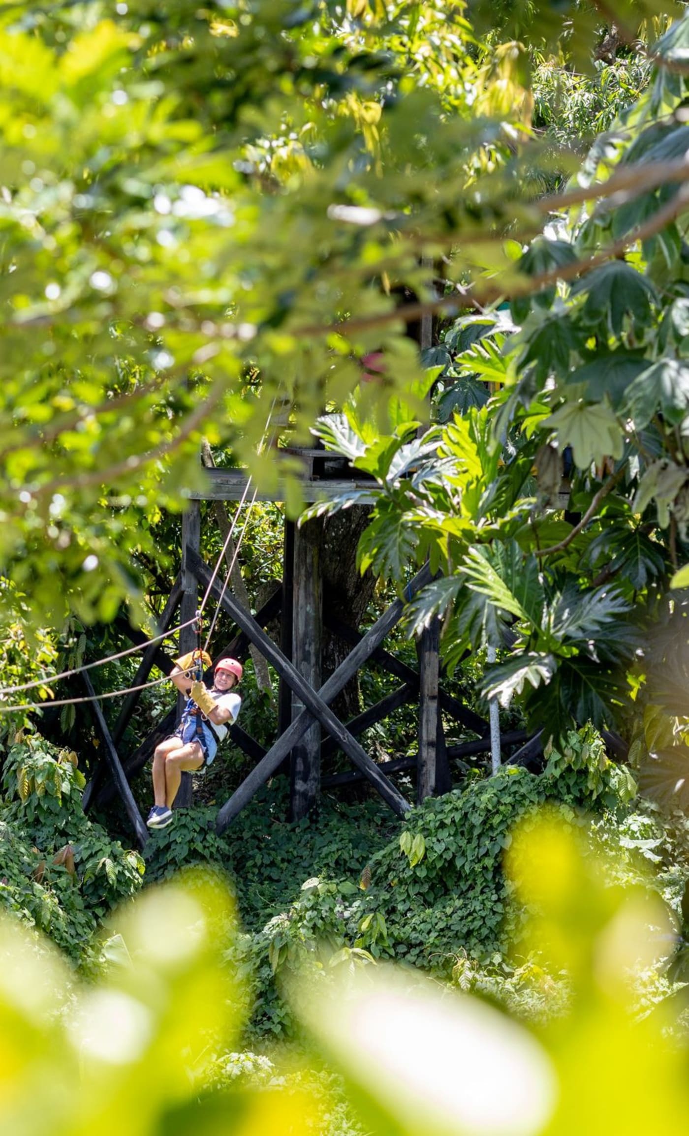 Zipline Punta Cana – High-Flying Jungle Canopy Adventure