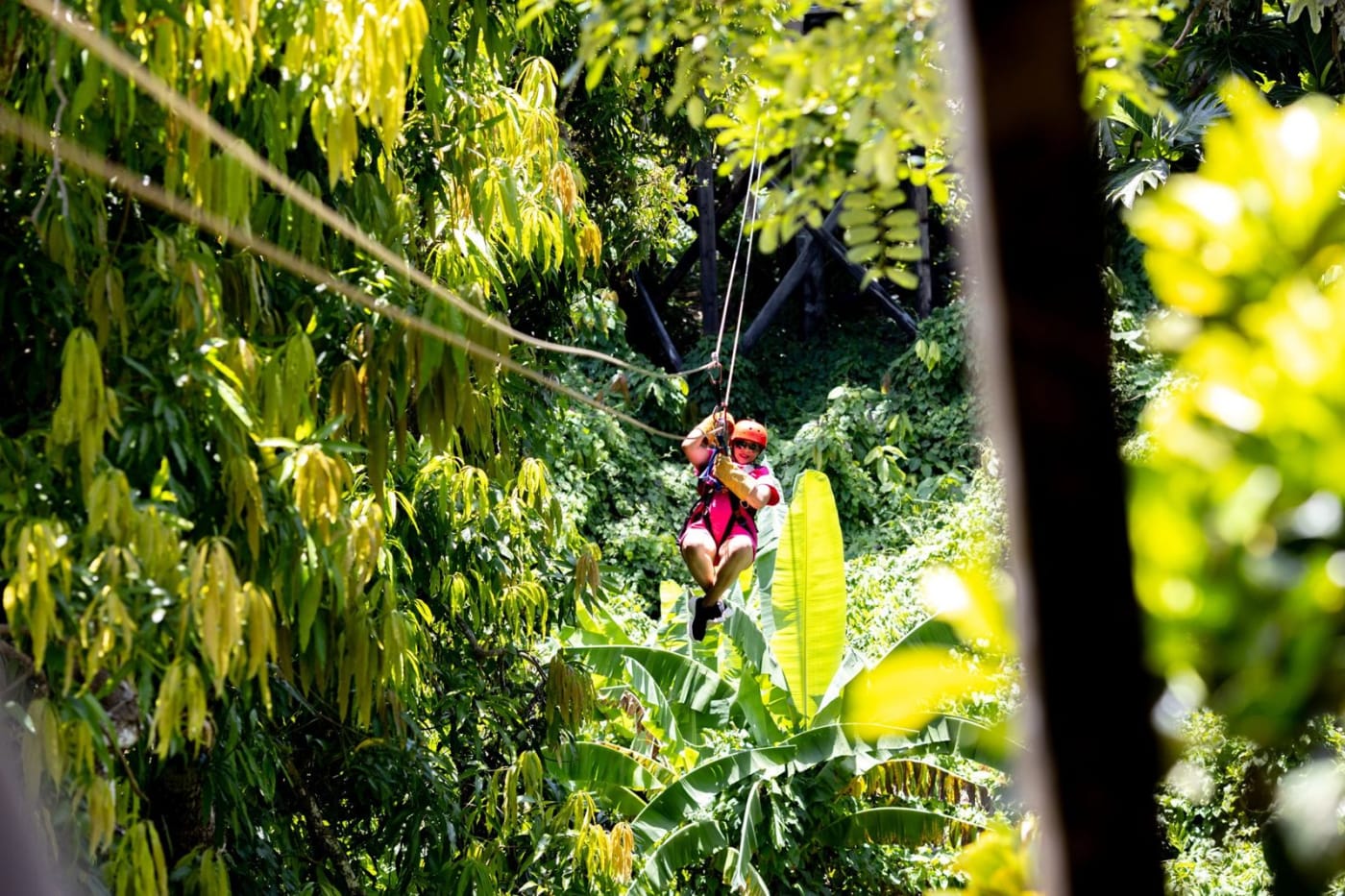 Zipline Punta Cana – High-Flying Jungle Canopy Adventure