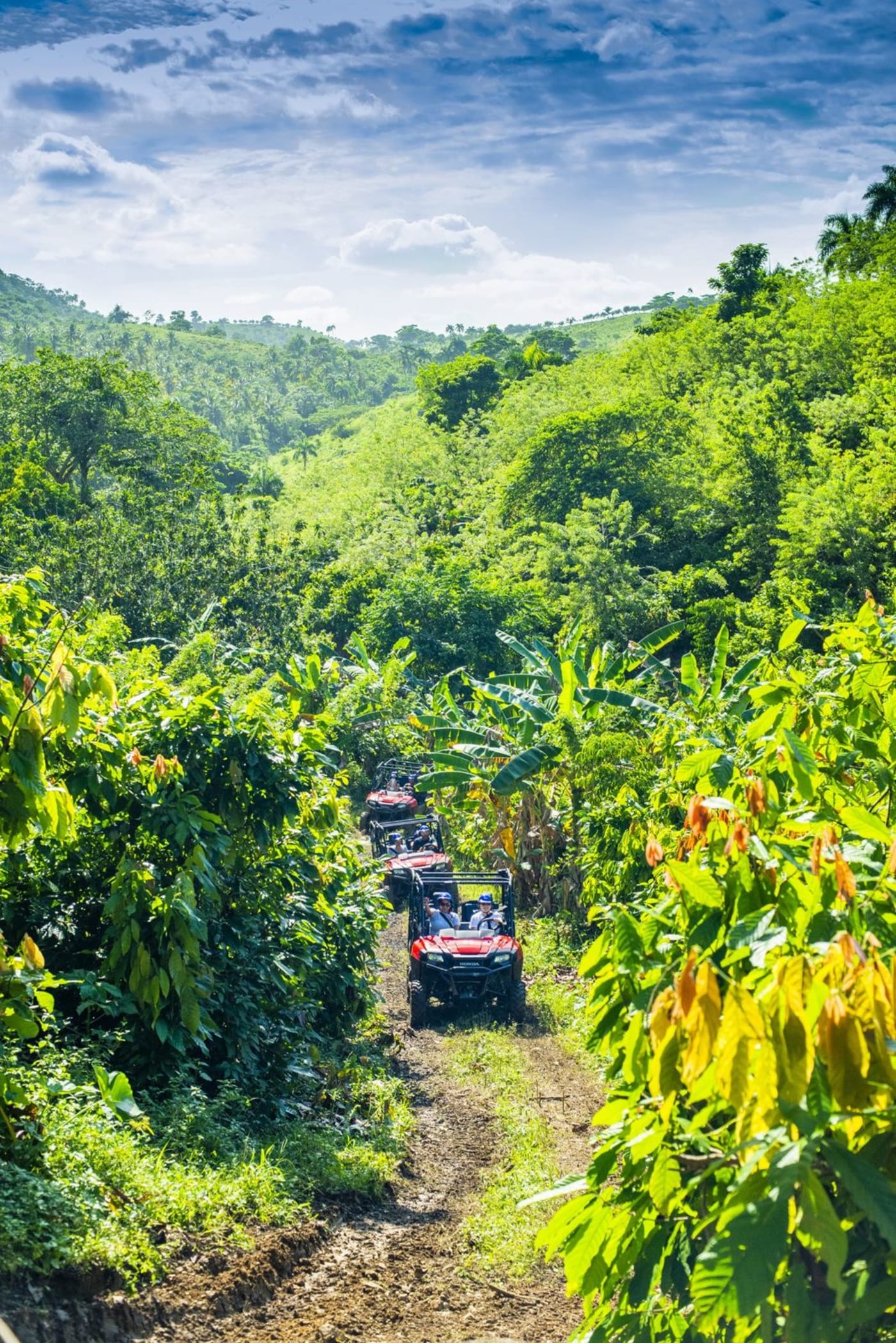 Triple Adventure Punta Cana – Buggy, Zipline & Monkey Land in One Day
