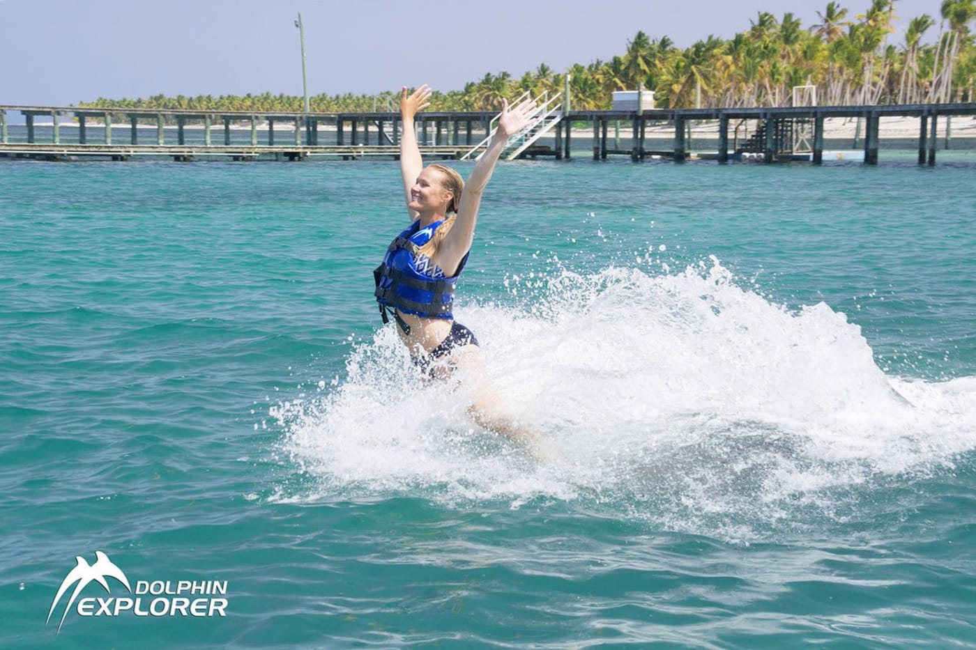 Swim with Dolphins in Punta Cana – Dolphin Explorer Programs & Prices