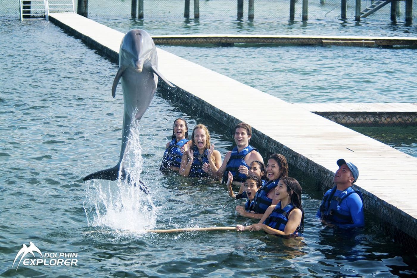 Swim with Dolphins in Punta Cana – Dolphin Explorer Programs & Prices
