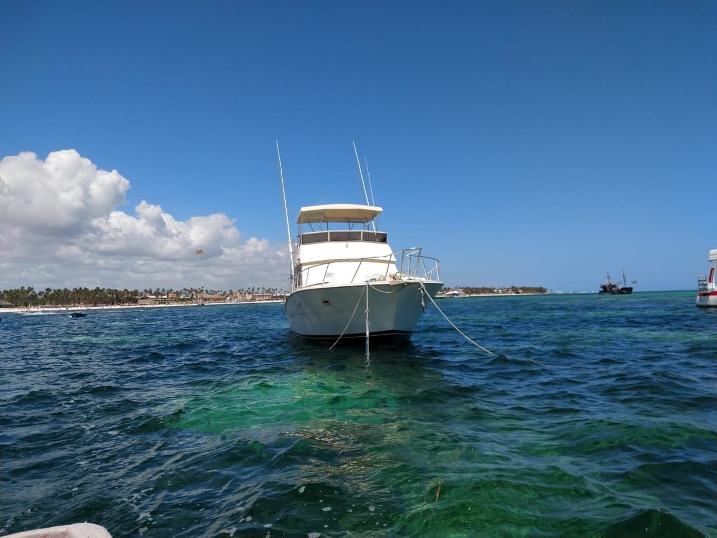 Deep Sea Fishing Punta Cana – Shared Sport-Fishing Charter