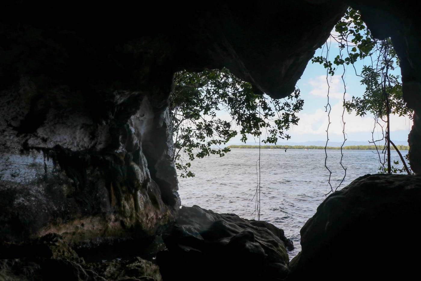 Los Haitises Tour from Punta Cana – Caves, Mangroves & Taíno History