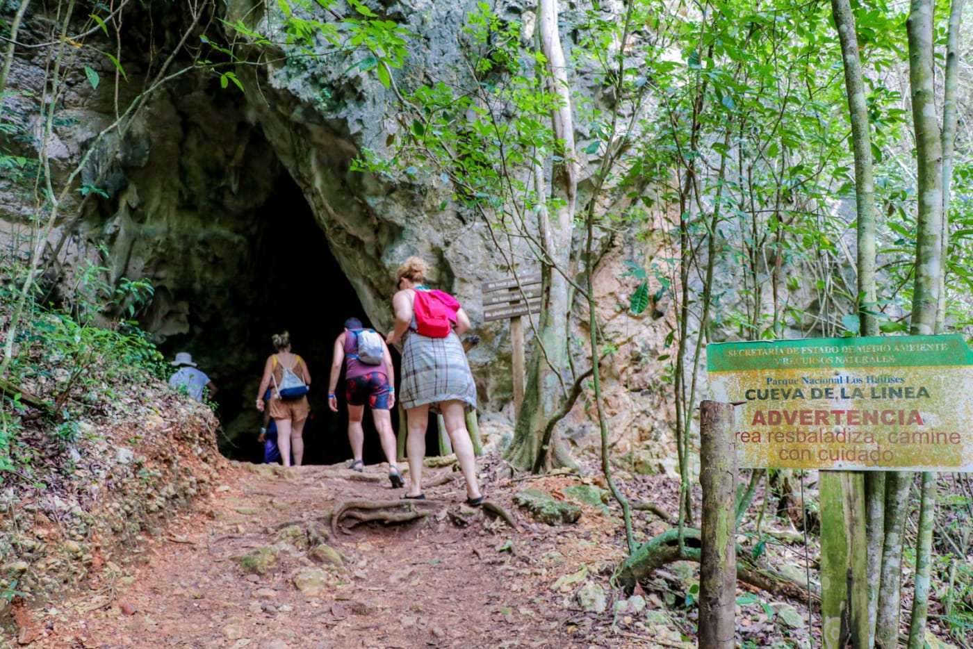 Los Haitises Tour from Punta Cana – Caves, Mangroves & Taíno History