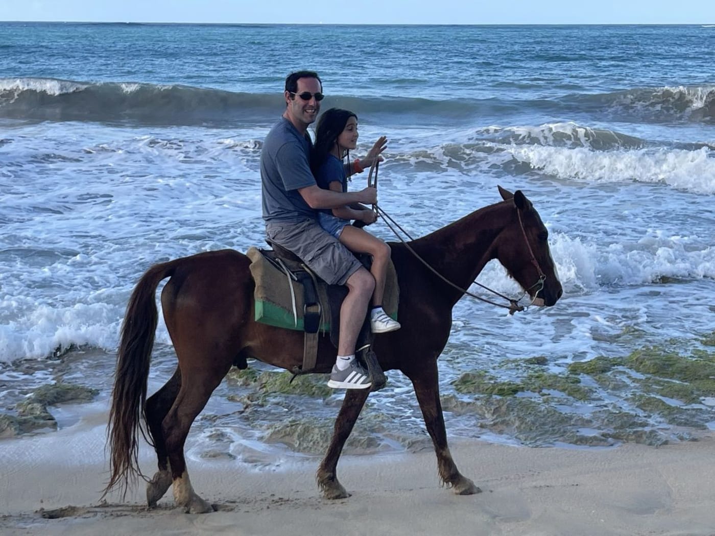 Guía con los caballos por un palmar de coco en Miches