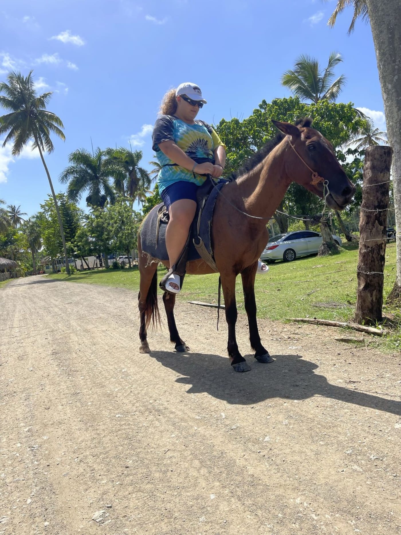 Paseo a caballo en Punta Cana – Senderos del campo y parada en la playa