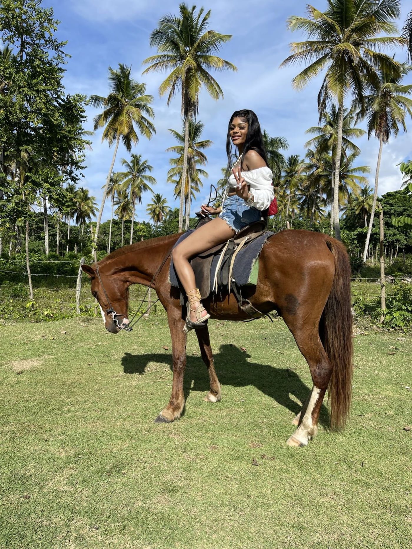 Paseo a caballo en Punta Cana – Senderos del campo y parada en la playa