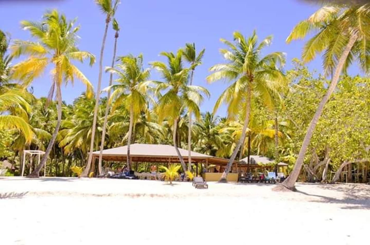 Saona Island Tour from Punta Cana – Natural Pool & Beach Day