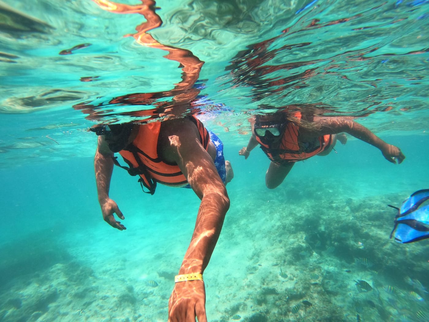Speedboat Punta Cana – Drive Your Own Boat & Snorkel